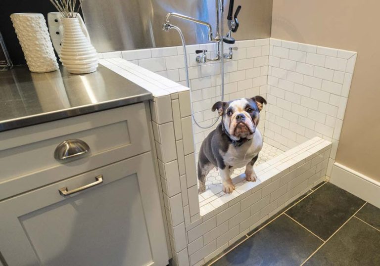 Built In Dog Shower | Custom Bathrooms | OSR Builders | Building and Design