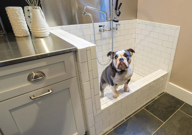 Built In Dog Shower | Custom Bathrooms | OSR Builders | Building and Design
